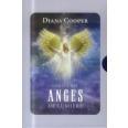 Coffret anges de lumiere 9782849333006 0