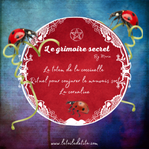 Le grimoire secret 1