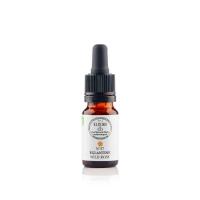 Eglantine wild rose