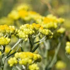 Images 46