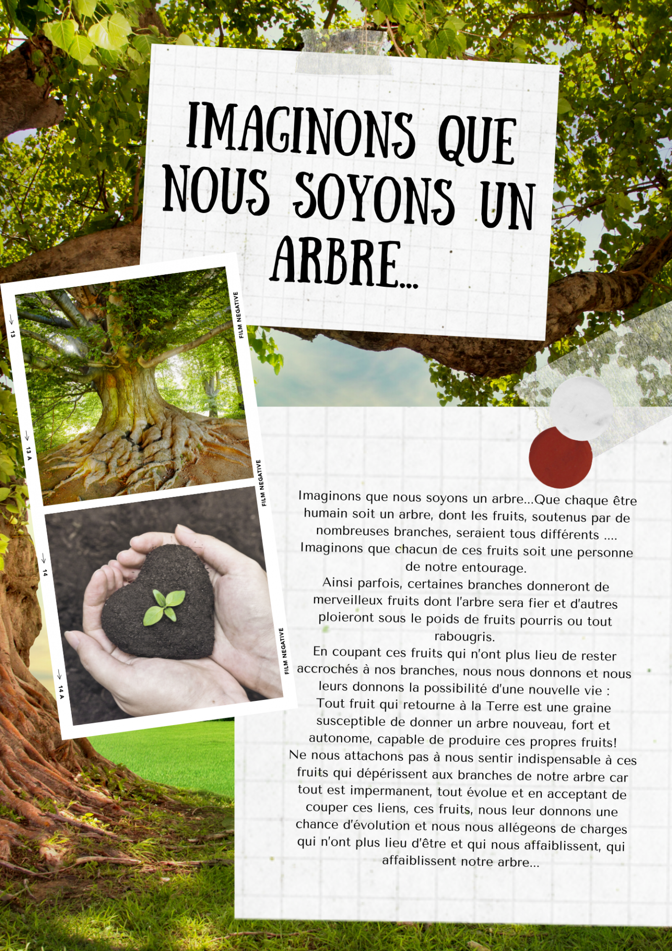 Imaginons que nous soyons un arbre