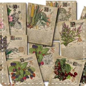 herbier, herboristerie