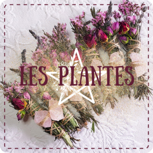 plantes magiques