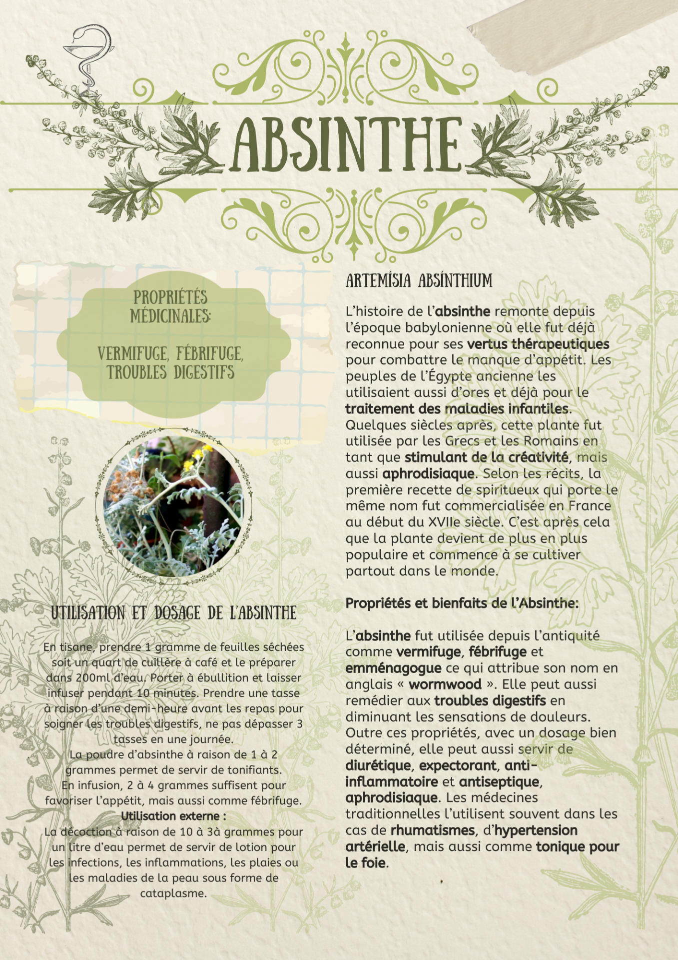 L absinthe