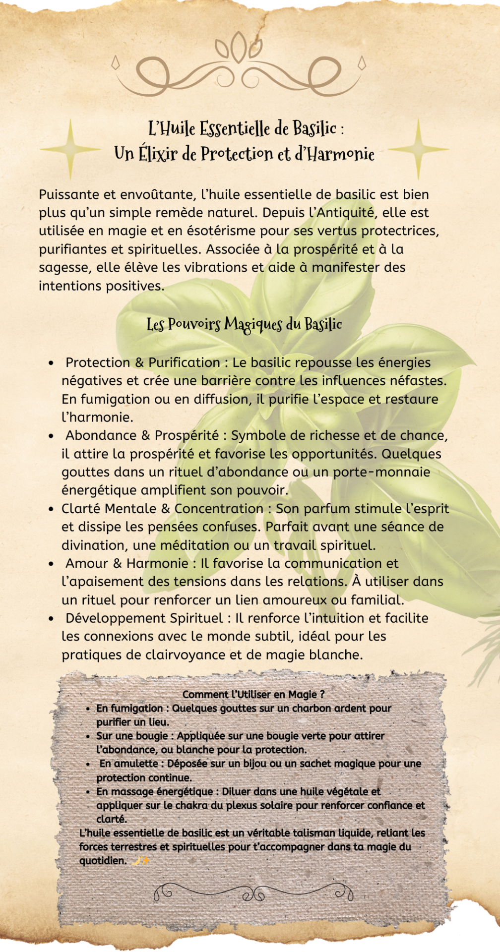 L huile essentielle de basilic