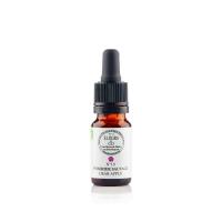 Pommier sauvage crab apple
