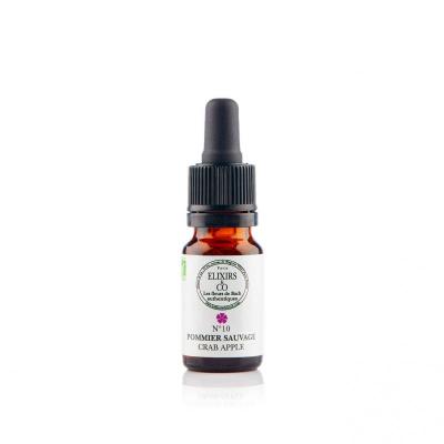 Pommier sauvage crab apple