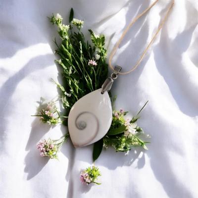 Pxl 20241129 101432114 mp photoroom