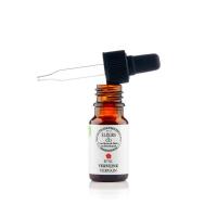 Verveine vervain 2
